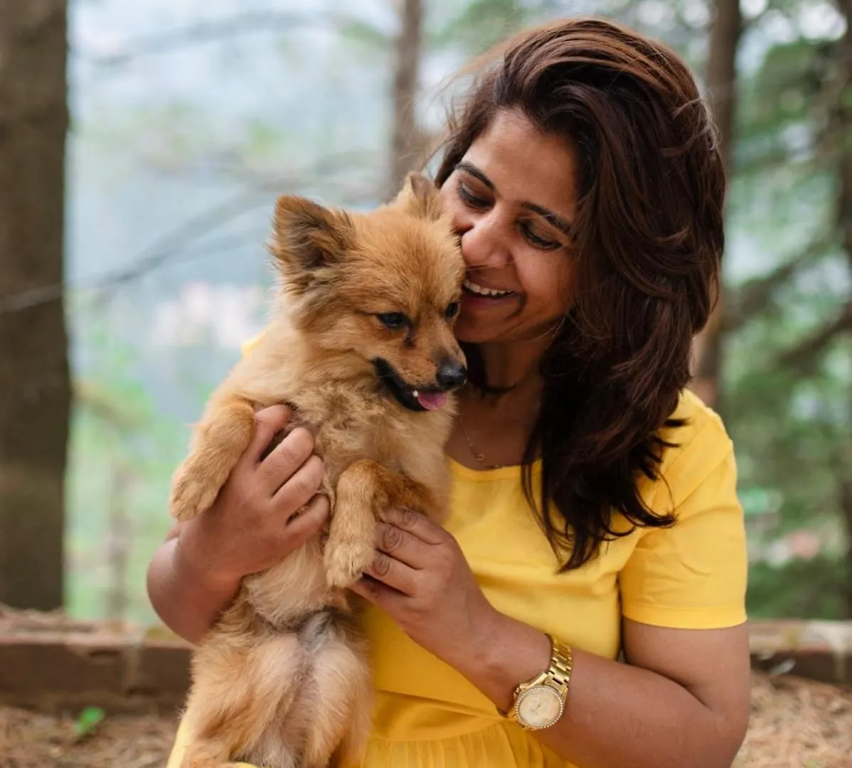 Pet Friendly Summer House Cottage Shimla